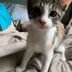 Meet your Posher, Desiree